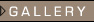 Valerie MacWilliam's Gallery